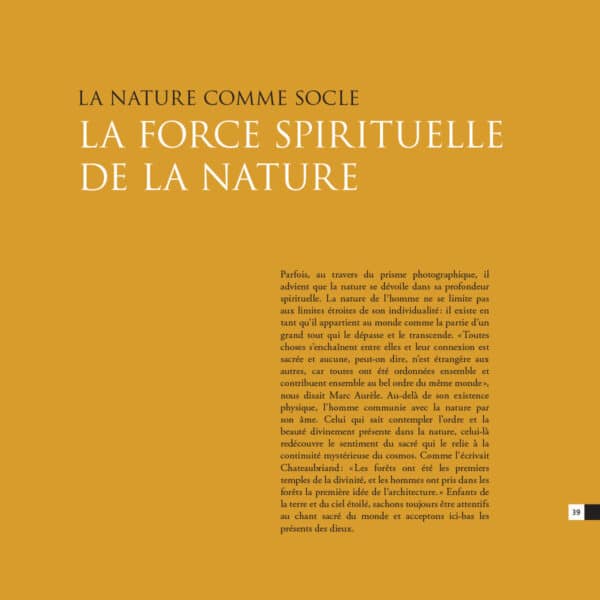 Catalogue de l'exposition La nature comme socle